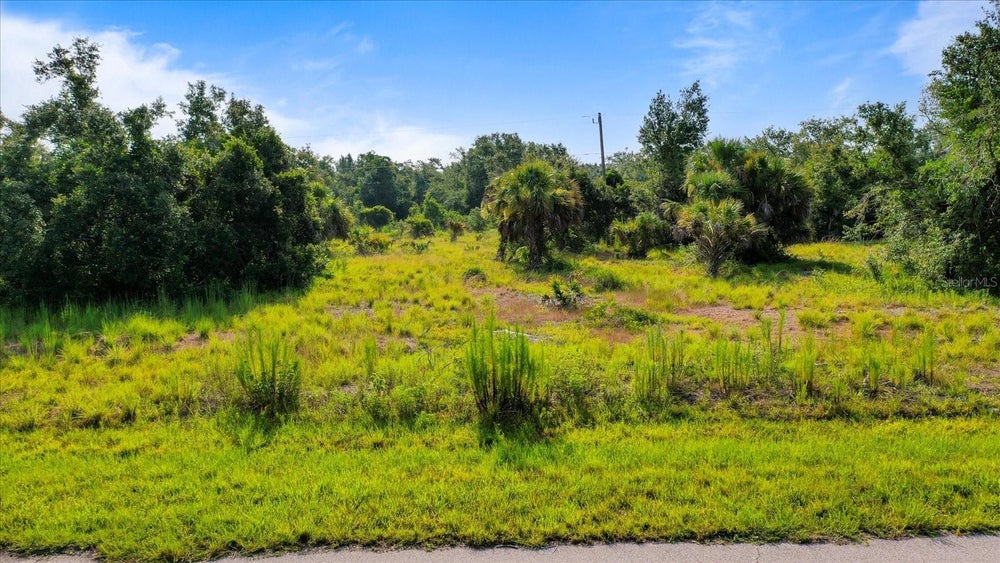 270 Ferguson Street, PORT CHARLOTTE, FL 33954 BHGRE