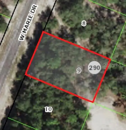 3050 W Marie Drive, CITRUS SPRINGS, FL 34433