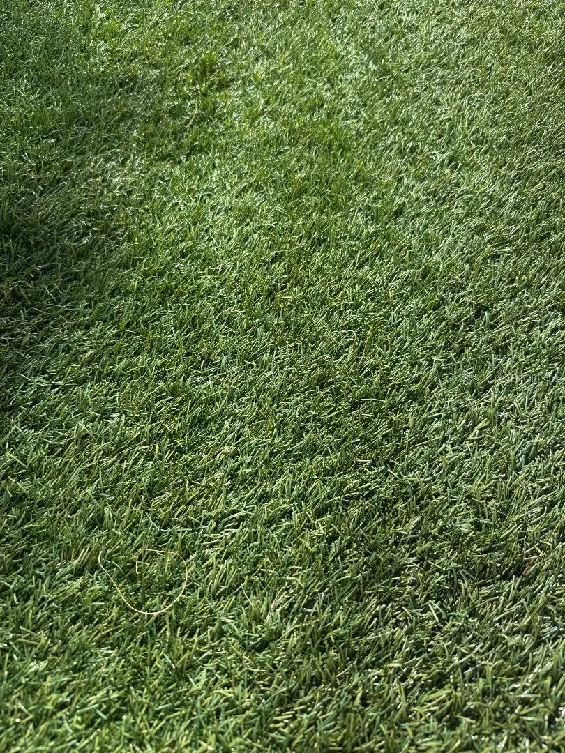 La Rosa Avenue, North Port, FL 34286 - #1