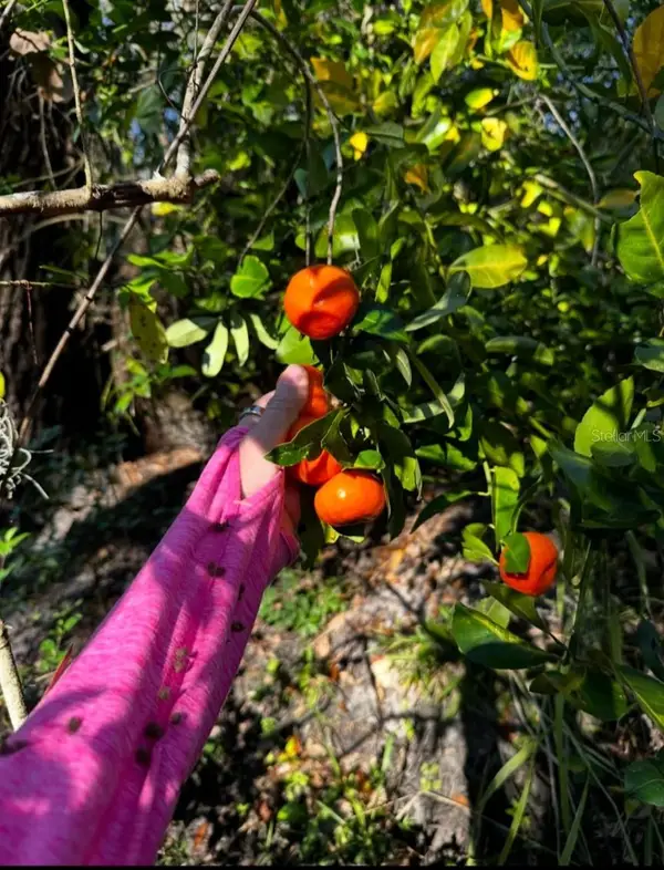 5011 249th St Street E, MYAKKA CITY, FL 34251