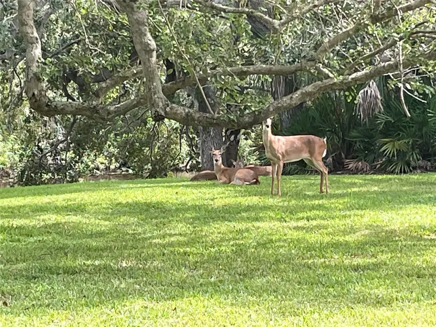 4133 Carriage Drive #18, Sarasota, FL 34241 - Image #2