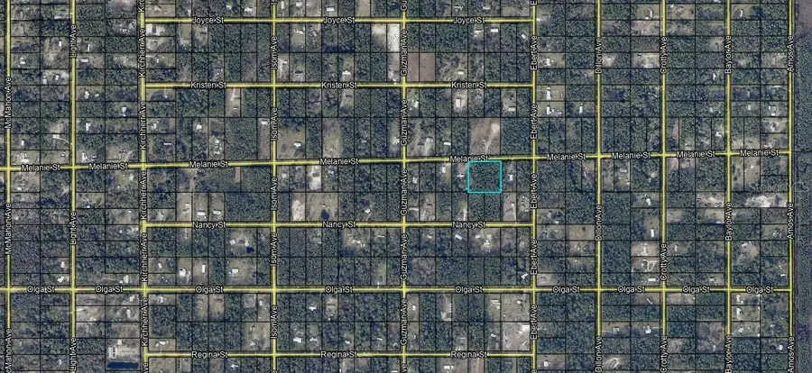 4225 Melanie Street, Hastings, FL 32145 - Image #2