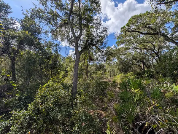 181 Juper Street, PORT CHARLOTTE, FL 33953