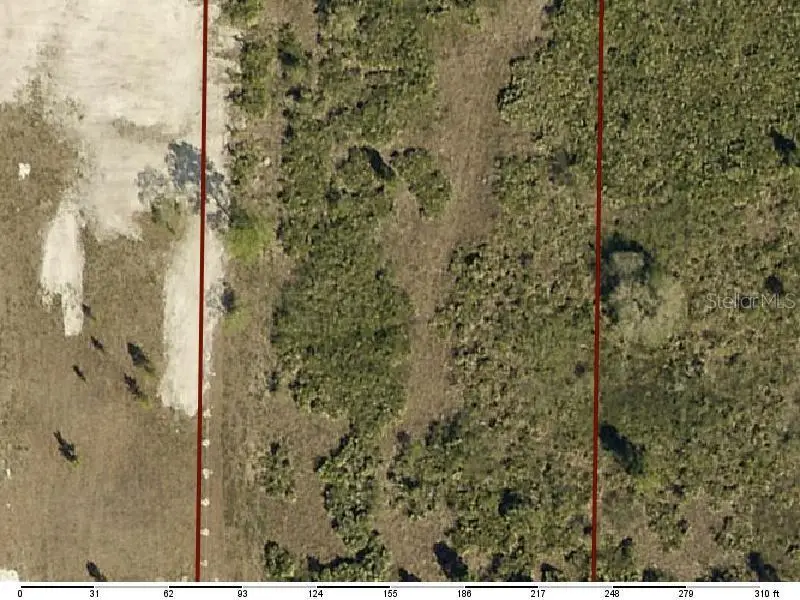 17875 NW 302nd Street, Okeechobee, FL 34972 - Image #3
