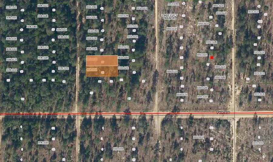 Lot 37 Paxon, Interlachen, FL 32148 - Image #3