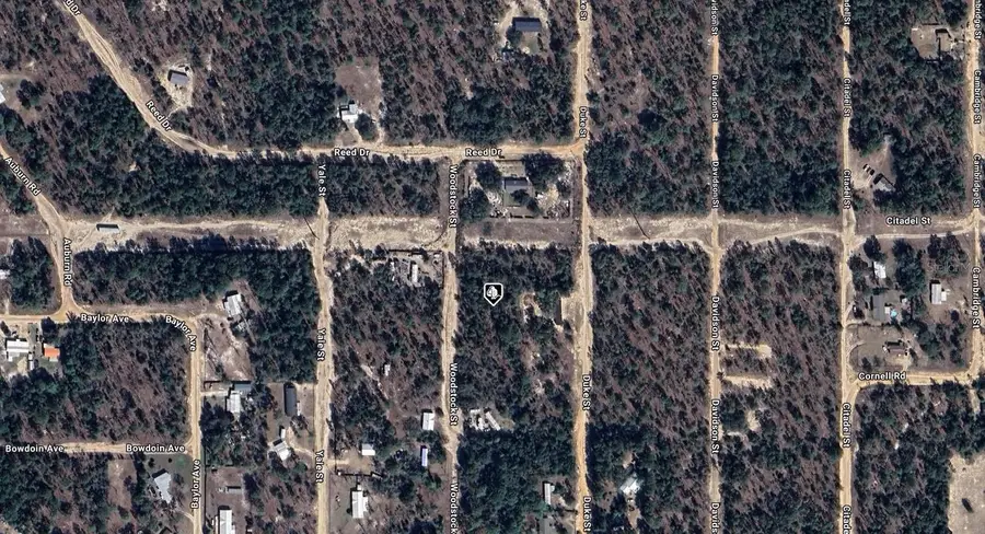 7243 Woodstock Street, Keystone Heights, FL 32656 - Image #2