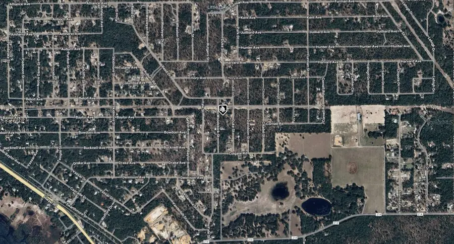 7243 Woodstock Street, Keystone Heights, FL 32656 - Image #3