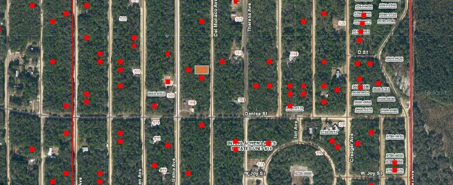 25-09-24-4075-0650-0240 Del Monaco Avenue, Interlachen, FL 32148 - Image #2