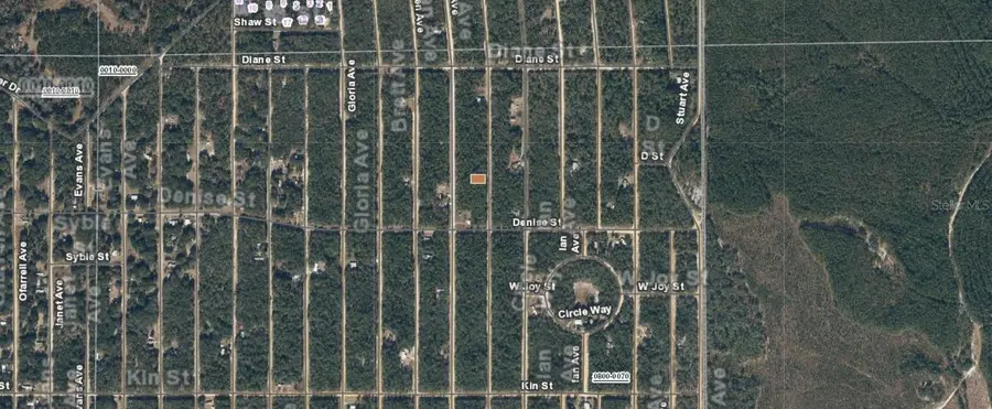 25-09-24-4075-0650-0240 Del Monaco Avenue, Interlachen, FL 32148 - Image #3