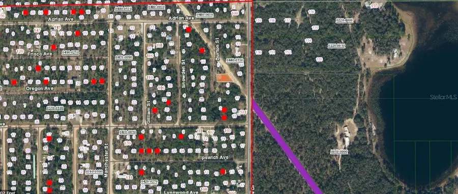 09-10-24-4068-0440-0060 Burton Street, Interlachen, FL 32148 - Image #2