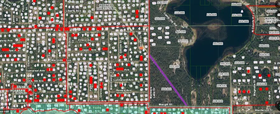 09-10-24-4068-0440-0060 Burton Street, Interlachen, FL 32148 - Image #3