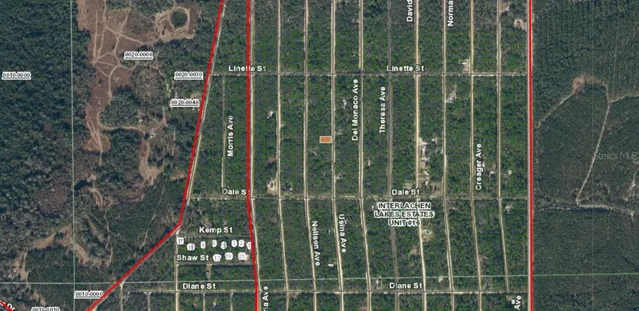 24-09-24-4075-0460-0270 Usina Avenue, Interlachen, FL 32148 - Image #3