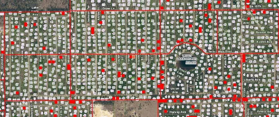 05-10-24-9045-0070-0010 Twin Lakes Boulevard, Interlachen, FL 32148 - Image #3