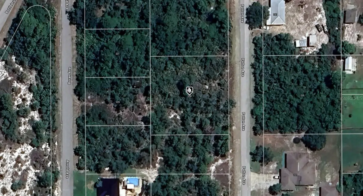 236 Patton Avenue, Lake Placid, FL 33852 - Image #1