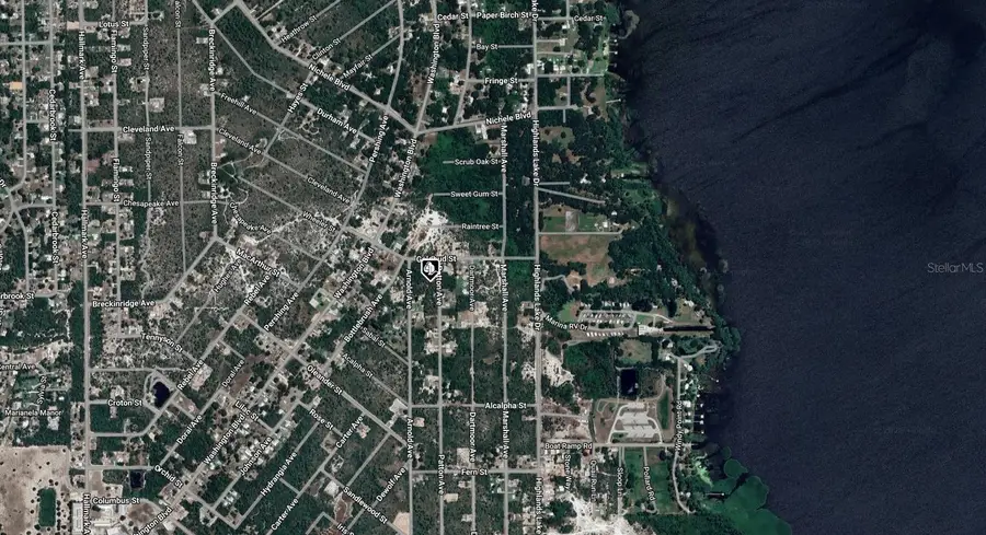 236 Patton Avenue, Lake Placid, FL 33852 - Image #3