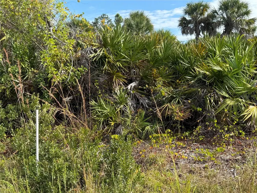 7098 Princeton Street, Port Charlotte, FL 33981 - Image #3