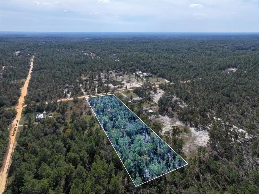 Poinciana Drive, Interlachen, FL 32148 - Image #2