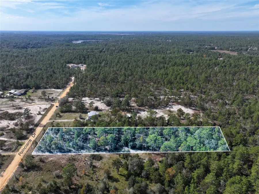 Poinciana Drive, Interlachen, FL 32148 - Image #3