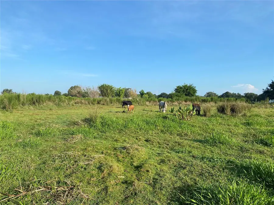 5187 Greenfields Run, Zolfo Springs, FL 33890 - Image #3