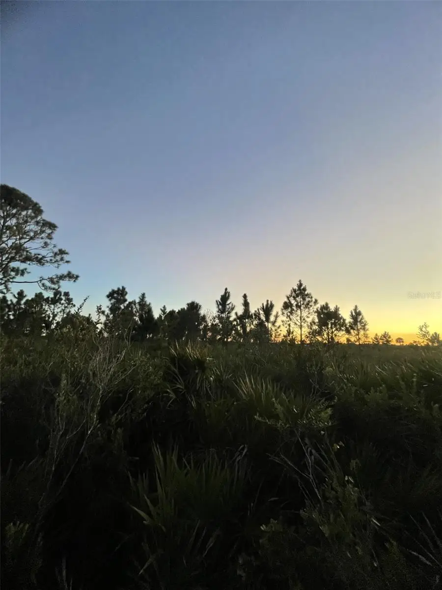 18572 NW 250th Street, Okeechobee, FL 34972 - Image #2