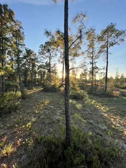 0 Seagrape Avenue, Eustis, FL 32736 - Image #3