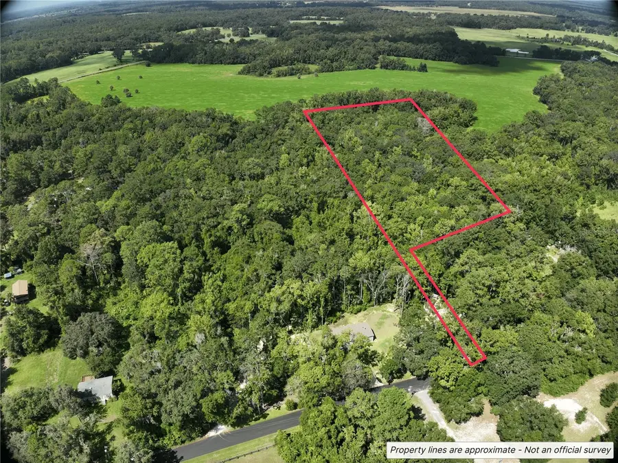 21490 NW 106th Court Road, Micanopy, FL 32667 - Image #2