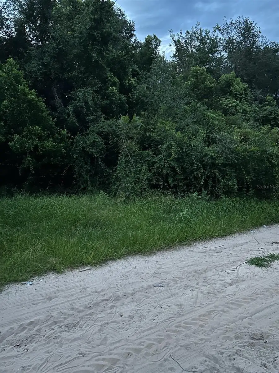 SE 135 Lane, Umatilla, FL 32784 - Image #1