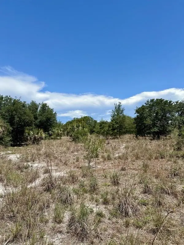 1701 Cabbage Wood Road, Okeechobee, FL 34974 - Image #1