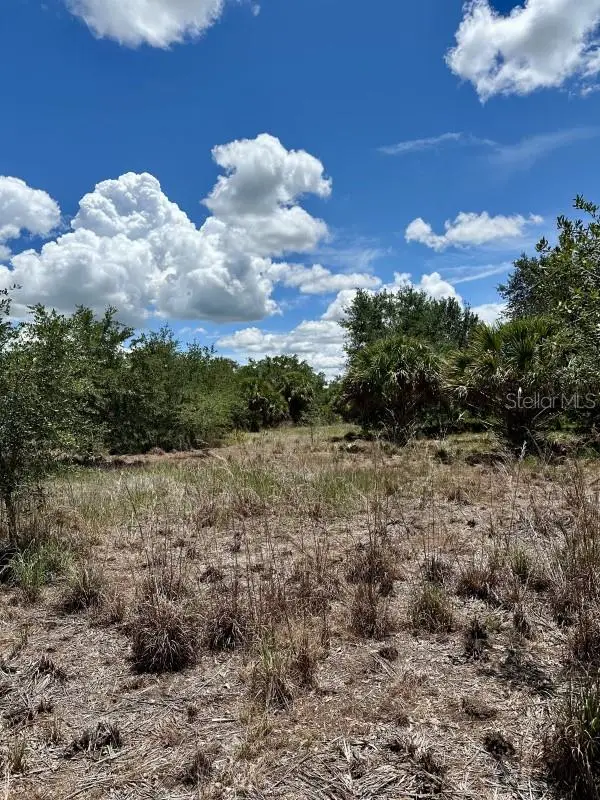 1701 Cabbage Wood Road, Okeechobee, FL 34974 - Image #2