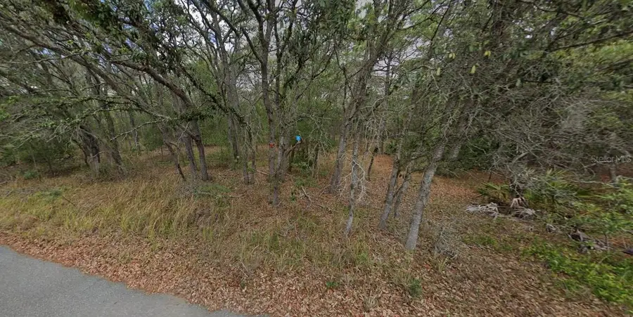 4331 W Donali Court, Homosassa, FL 34446 - Image #2