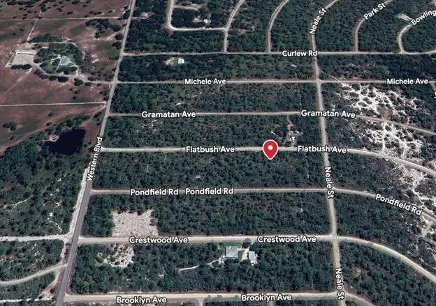 3234 Flatbush Avenue, Lake Placid, FL 33852 - Image #2