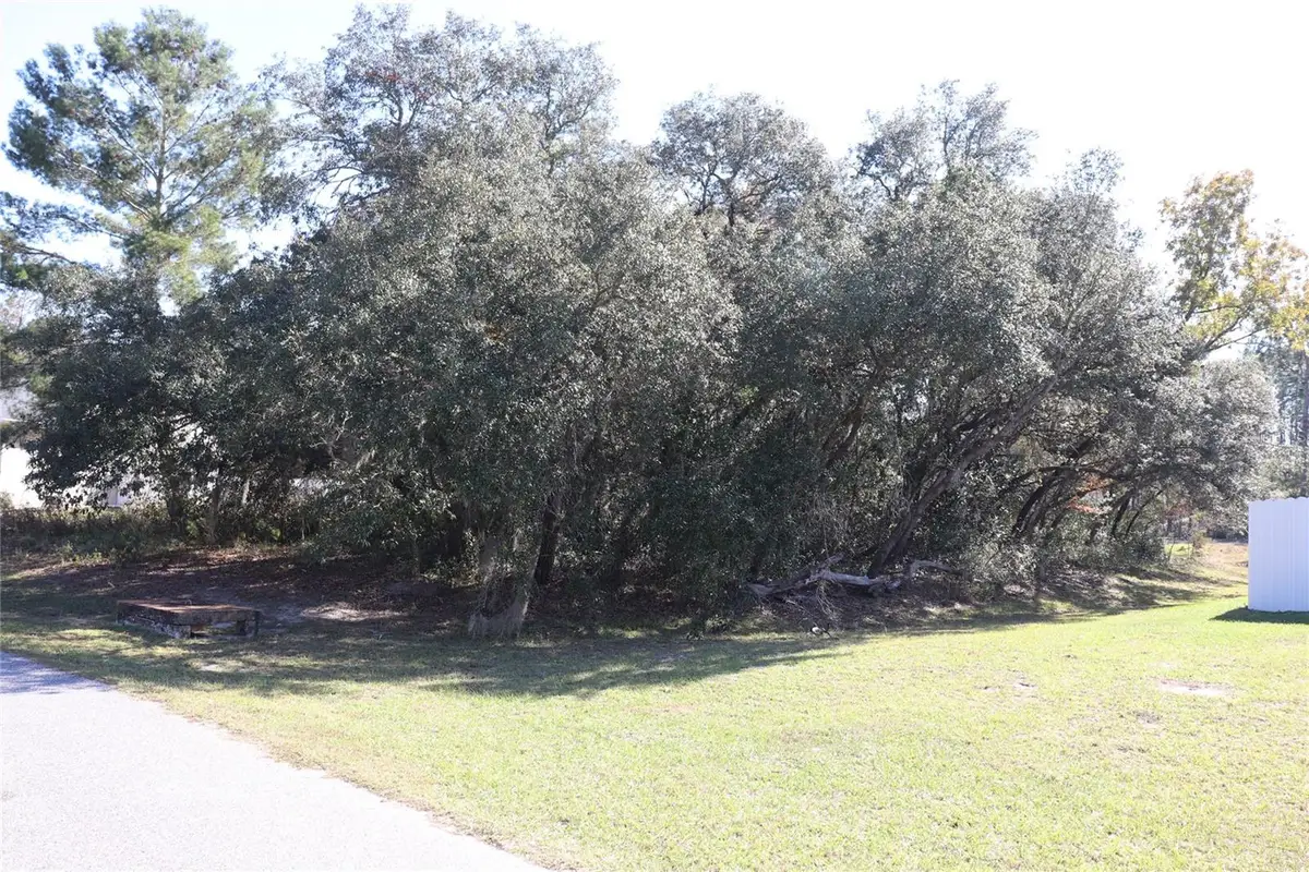TBD SW 157th Street, Ocala, FL 34473 - Image #1