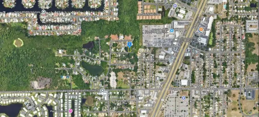 4713 Naftis Lane, New Port Richey, FL 34652 - Image #3