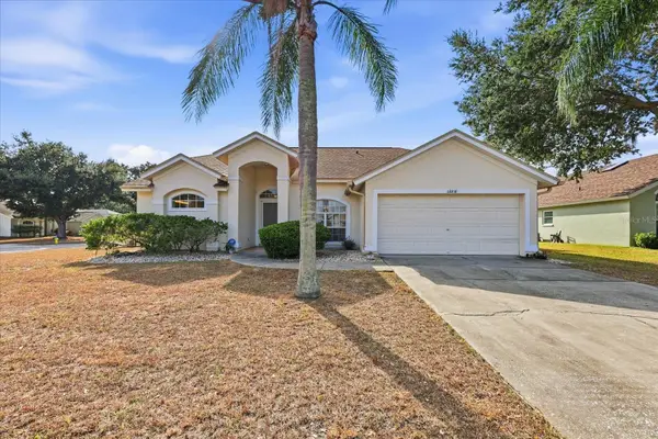 12231 Shady Forest Drive, RIVERVIEW, FL 33569