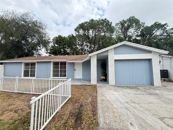 10101 Springtree Court, TAMPA, FL 33615