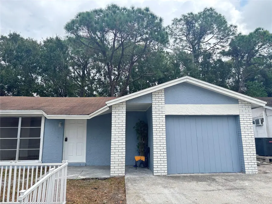 10101 Springtree Court, Tampa, FL 33615 - Image #2