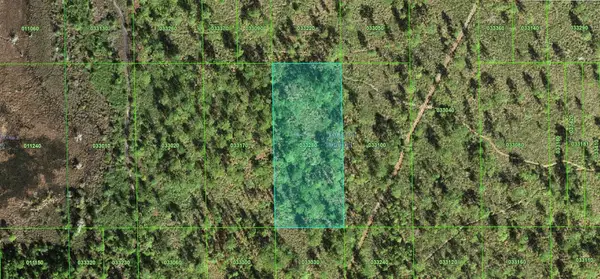 60 E Street, LAKE WALES, FL 33898