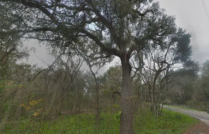 6343 Baker Road, Keystone Heights, FL 32656 - Image #2