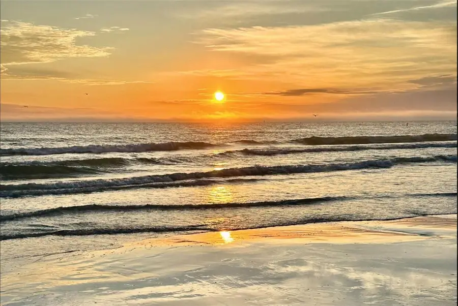 6738 Avenue D, Sarasota, FL 34231 - Image #3