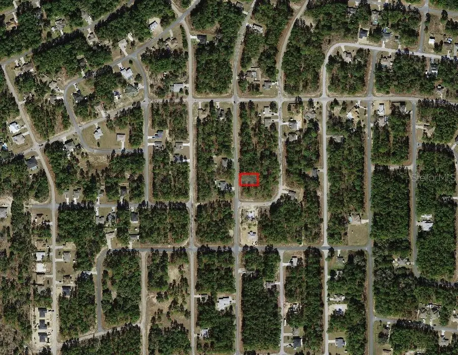 7749 N Santos Drive, Citrus Springs, FL 34434 - Image #3