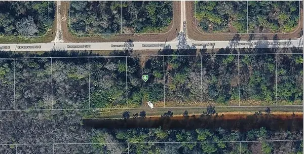 1218 Ravenswood Street E, LEHIGH ACRES, FL 33974