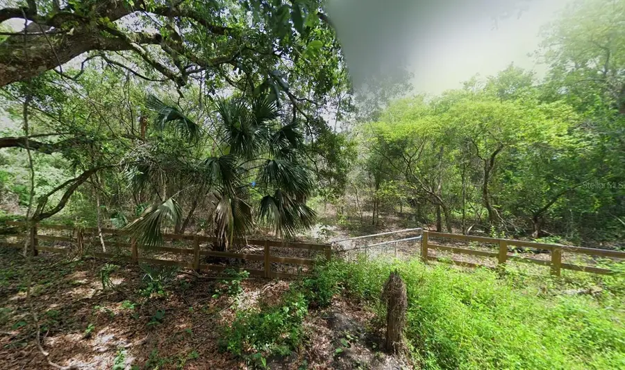 1210 Heart Pine Drive, Orange City, FL 32763 - Image #2