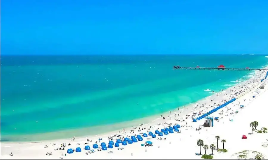 1002 Vine Avenue, Clearwater, FL 33755 - Image #2