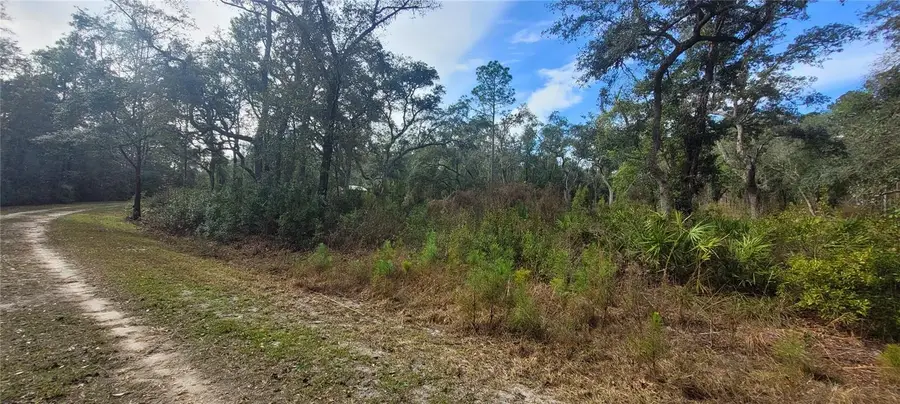 SE 68th Terrace, White Springs, FL 32096 - Image #3