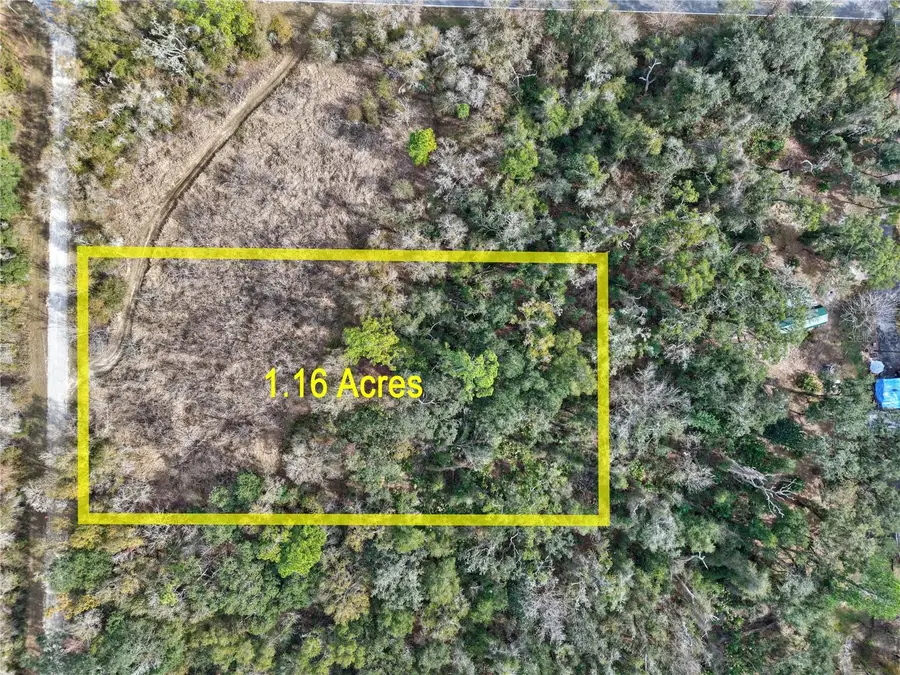 Lot 1 Chipstone Street, Webster, FL 33597 - Image #2