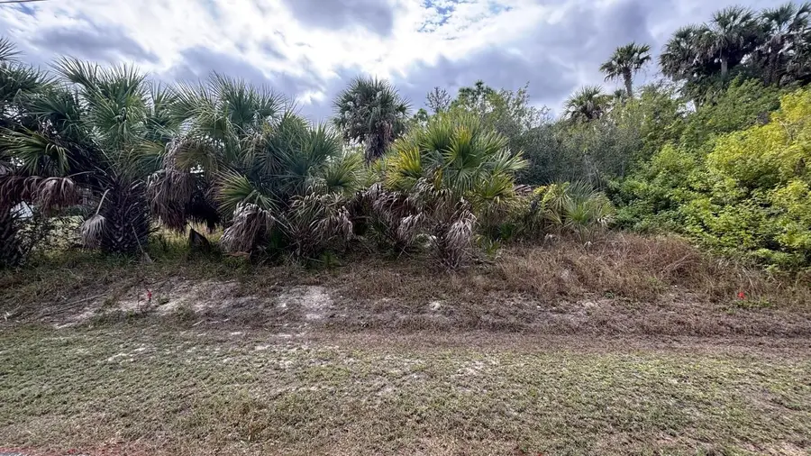 Carmela Avenue, North Port, FL 34286 - Image #3