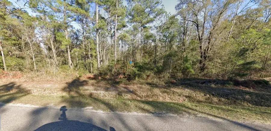 10230 Turpin Avenue, Hastings, FL 32145 - Image #2