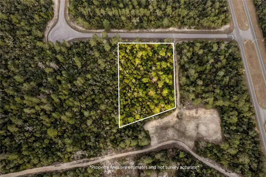 0 32nd Circle, Ocala, FL 34473 - Image #2