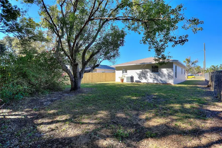 818 N Joanna Avenue, Tavares, FL 32778 - Image #3