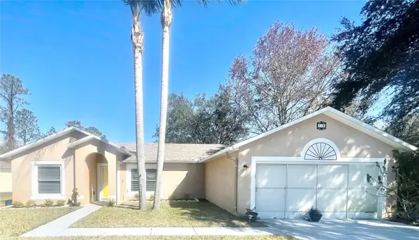 119 Pine Grove Drive, PALM COAST, FL 32164